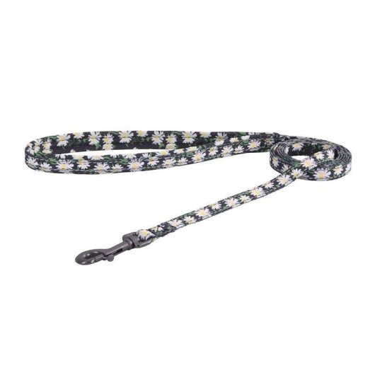 Set de paseo Dogness para perro con correa de 1,5 m y arnés multicolor