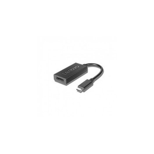 Adaptador de vídeo USB-C para DisplayPort Lenovo 0,2 m Preto