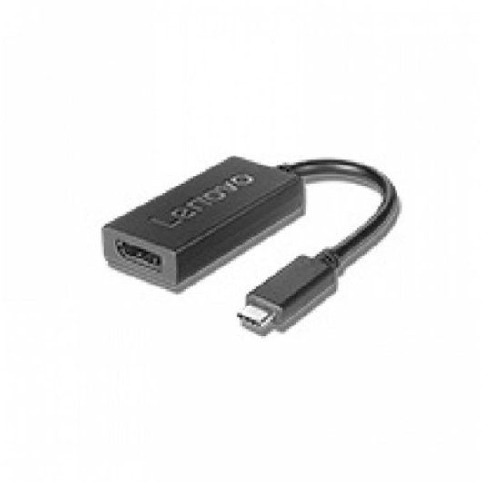 Adaptador de vídeo USB-C para DisplayPort Lenovo 0,2 m Preto