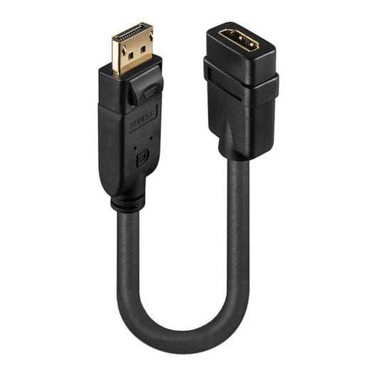 DisplayPort auf HDMI Adapterkabel Lindy 41005 0,15 m