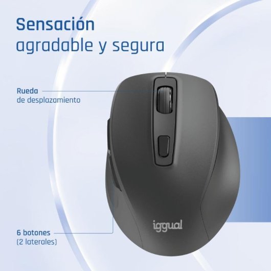 Ratón IGGUAL ERGO-SILENT-6D Inalámbrico 1600 DPI Negro 6 Botones Silencioso