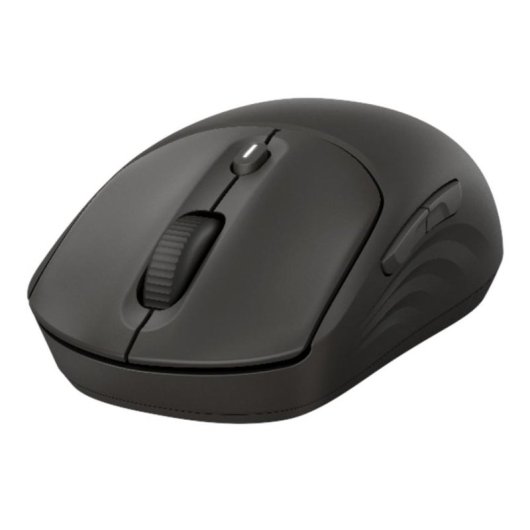 Souris HP 405 Quiet Wireless Bluetooth RF 1200 DPI Noir Ambidextre