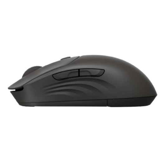 Souris HP 405 Quiet Wireless Bluetooth RF 1200 DPI Noir Ambidextre