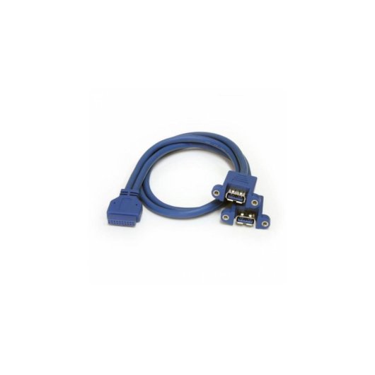 Cable para Montaje en Panel 2 Puertos USB 3.2 Gen1 StarTech.com 50cm Azul