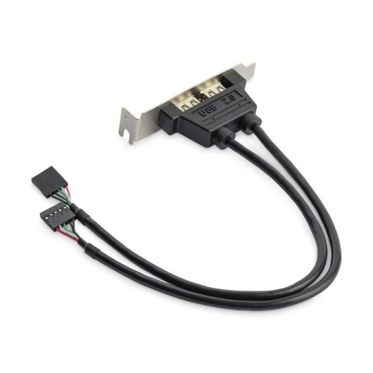 Carte Adaptateur USB 2.0 StarTech.com Profil Bas 2 Ports IDC
