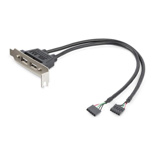 Carte Adaptateur USB 2.0 StarTech.com Profil Bas 2 Ports IDC