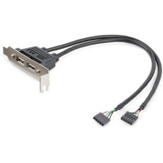 Carte Adaptateur USB 2.0 StarTech.com Profil Bas 2 Ports IDC