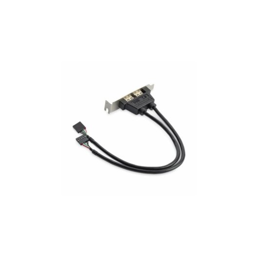 Carte Adaptateur USB 2.0 StarTech.com Profil Bas 2 Ports IDC