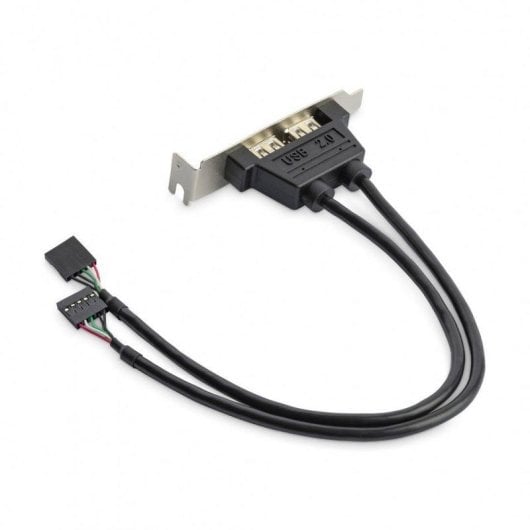Carte Adaptateur USB 2.0 StarTech.com Profil Bas 2 Ports IDC