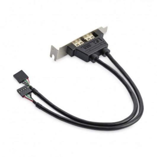Carte Adaptateur USB 2.0 StarTech.com Profil Bas 2 Ports IDC