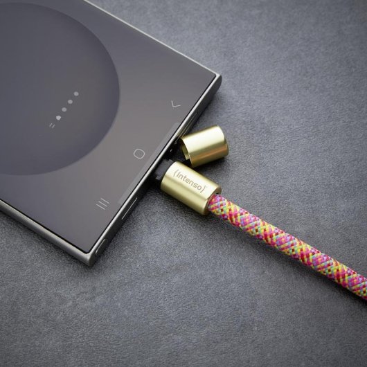 Collar USB-C Intenso para Móvil con Carga Rápida 60W 1,65m Multicolor