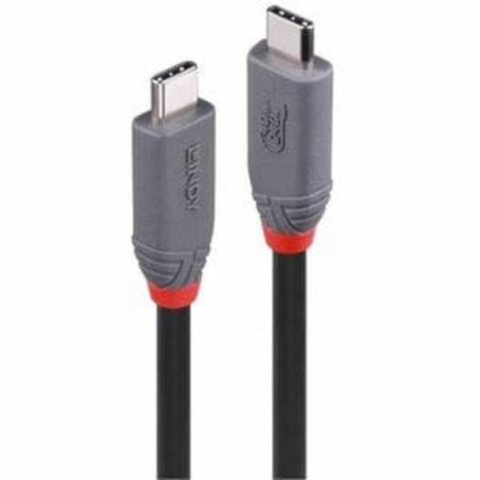 Cable USB4 Lindy 2 m USB-C à USB-C 40 Gbit/s Noir