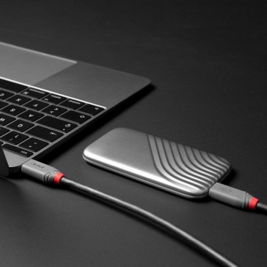 Cable USB4 Lindy 2 m USB-C à USB-C 40 Gbit/s Noir
