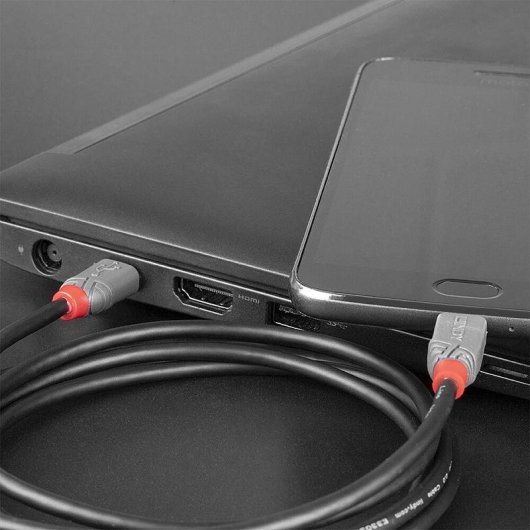 Cavo USB C verso Micro-USB B Lindy 3 m USB 2.0 Nero
