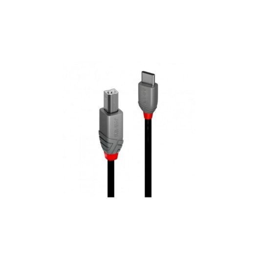 Kabel USB C nach USB B Lindy 3 m USB 2.0 Schwarz