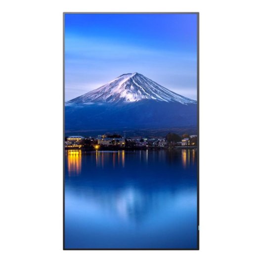 Monitor Sharp MultiSync P656 64,5" UltraHD 4K 60Hz IPS Altavoces Integrados