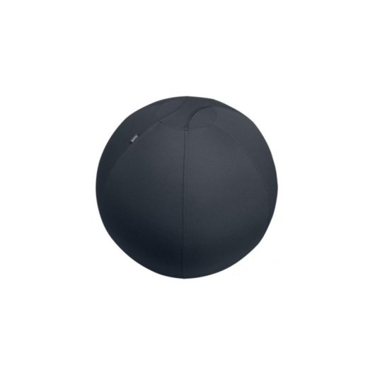 Pelota de ejercicios Leitz Active Sitzball 65 cm Gris