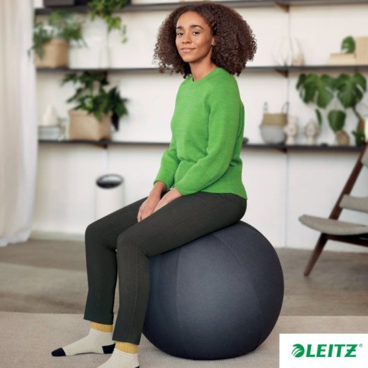 Zitbal Leitz Ergo Grijs 55 cm voor Houding en Beweging