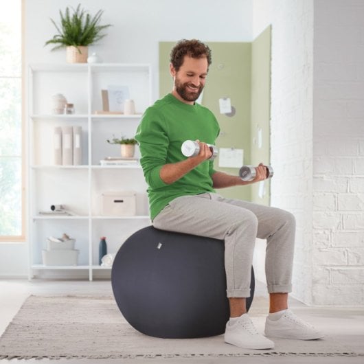 Zitbal Leitz Ergo Grijs 55 cm voor Houding en Beweging