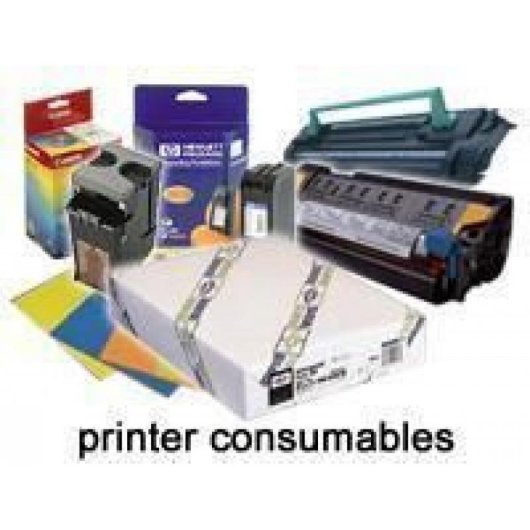 Rollo Papel Adhesivo Sintético Epson 44" x 30,5 m 135 g/m² Mate