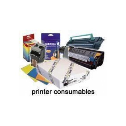Rollo Papel Sintético Mejorado Epson 44" x 40 m 84 g/m²