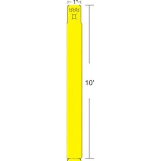 Etiquette pour Imprimante Zebra Z-Band Fun Wristband 1" x 10" 350 pièces