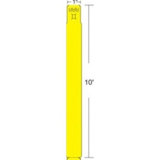 Etiquette pour Imprimante Zebra Z-Band Fun Wristband 1" x 10" 350 pièces