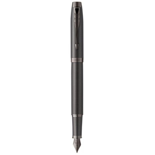Penna Stilografica Parker 2172958 Corsivo Fino Caricamento a Cartuccia