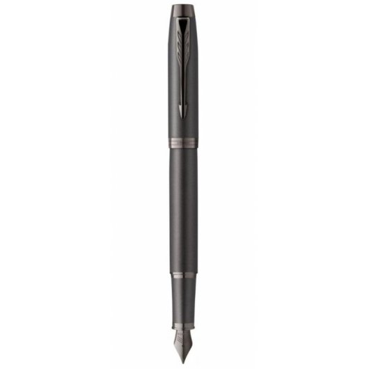 Penna Stilografica Parker 2172958 Corsivo Fino Caricamento a Cartuccia