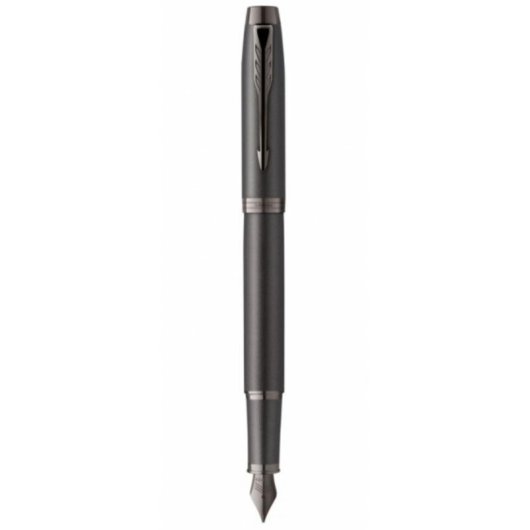 Penna Stilografica Parker 2172958 Corsivo Fino Caricamento a Cartuccia