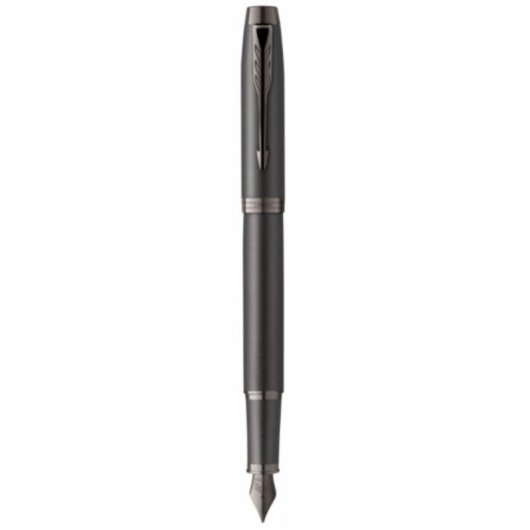 Penna Stilografica Parker 2172958 Corsivo Fino Caricamento a Cartuccia