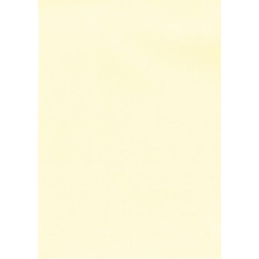 Carta Verjurata Crema A4 APLI 100 Fogli 100 g/m² per Stampanti