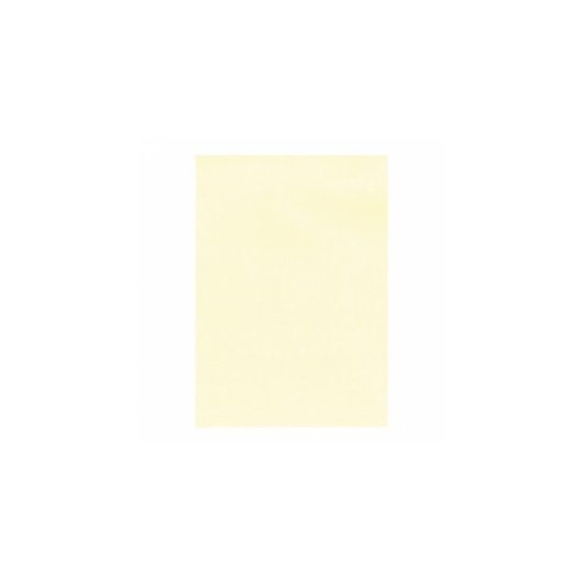 Carta Verjurata Crema A4 APLI 100 Fogli 100 g/m² per Stampanti