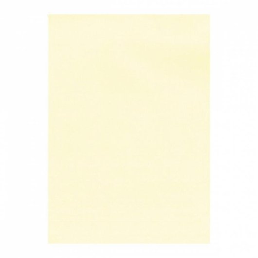 Carta Verjurata Crema A4 APLI 100 Fogli 100 g/m² per Stampanti