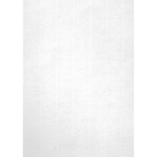 Carta Verjurata A4 APLI 100 g/m² 100 Fogli Bianco per Stampanti Inkjet e Laser