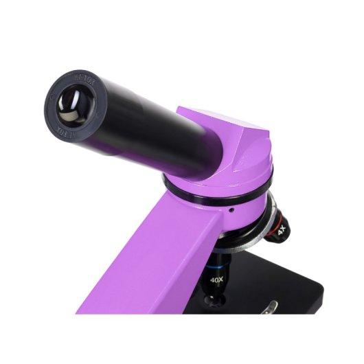 Microscopio Levenhuk Rainbow 2l Amatista