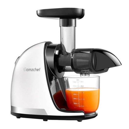 Extrateur lent AMZCHEF 1501-WT 150 W 90-110 rpm