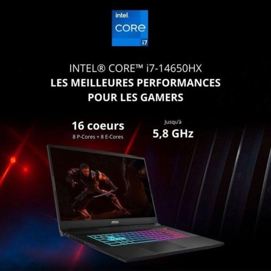 Ordinateur portable MSI Katana 17 HX B14WGK-256XFR 17.3" Intel Core i7-14650HX 32GB 512GB SSD RTX 5070 FreeDOS
