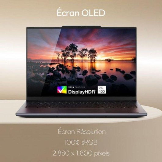 Portátil Medion Signium 14 S1 14" Intel Core 5-120U 16GB 512GB SSD Iris Xe Sin SO
