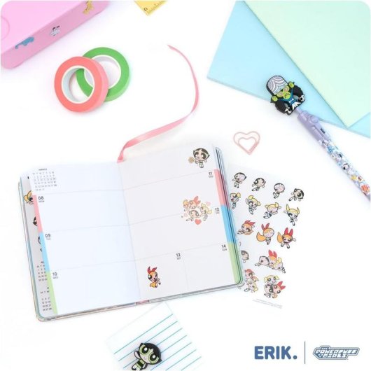 Agenda Groupe Erik Supernenas Pocket 17 Mois