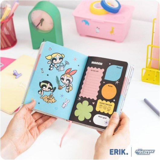 Agenda Groupe Erik Supernenas Pocket 17 Mois