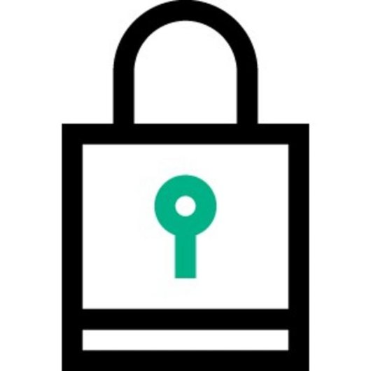 Lizenz HPE Smart Array SR Secure Encryption Elektronischer Download