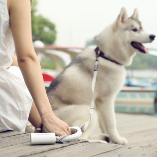 Dispensador de bolsas higiénicas PetKit Blanco con 15 bolsas