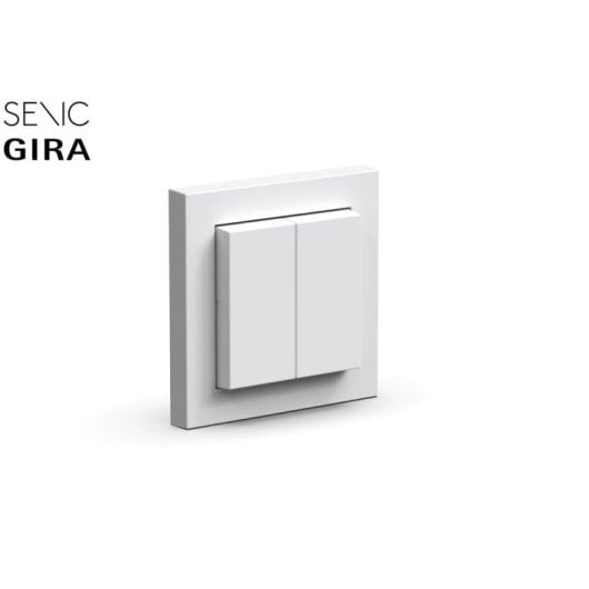 Interruptor inteligente Senic Friends of Hue Switch ZigBee compatible Philips Hue