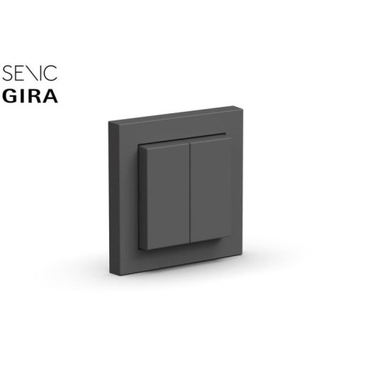 Interruptor inteligente Senic Friends of Hue Switch ZigBee compatible Philips Hue