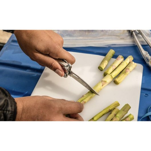 Multiherramienta Leatherman Curl Acero Inoxidable 15 Herramientas