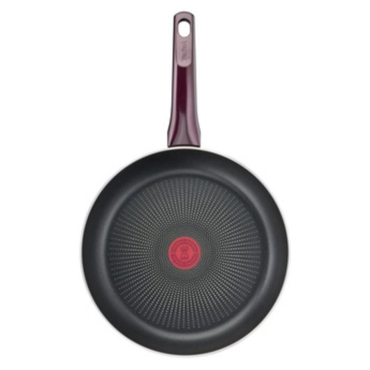 Sartén multiuso Tefal Resist Intense D52202 20 cm antiadherente titânio