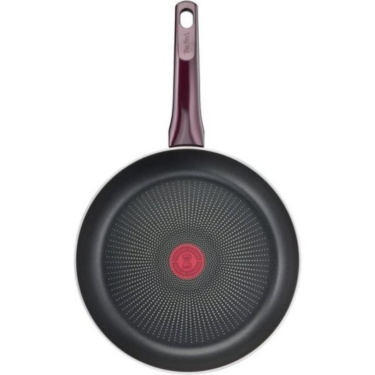 Sartén multiuso Tefal Resist Intense D52202 20 cm antiadherente titânio