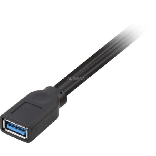 Cable USB DeLOCK 83176 0,3 m USB 3.2 Gen 1 2 x USB A