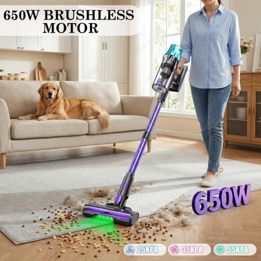 Aspiradora sin Cable Blossom V20 600W 55 kPa 65 min Verde Azul Morado